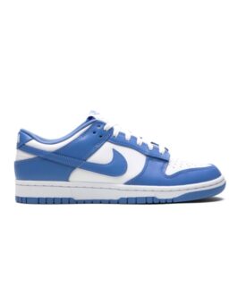 Nike dunk low polar blue